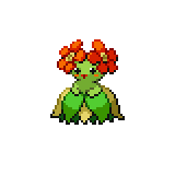 Joliflor