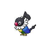 Pijako