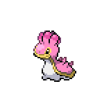 Sancoki